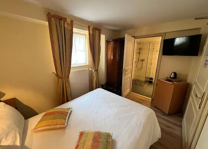 La Cour Du Bailli & 3* Bergheim