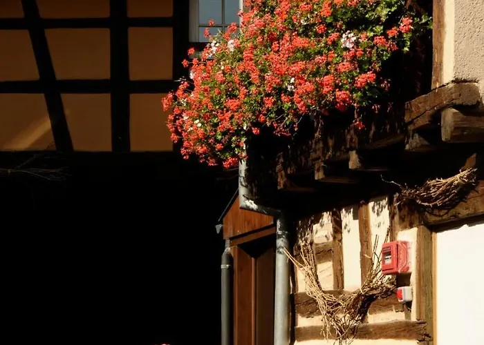 La Cour Du Bailli & Hotell